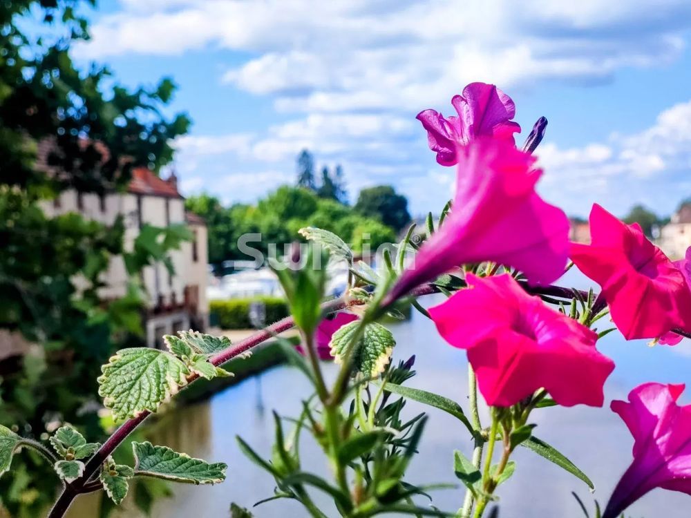 � vendre  Maison Santenay (21590)