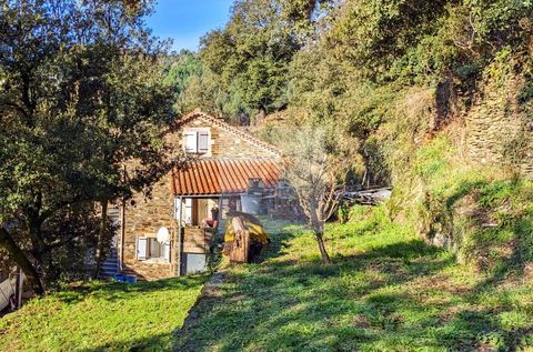   Grande maison familiale Maison - 5 pi�ce(s) - 130 m�