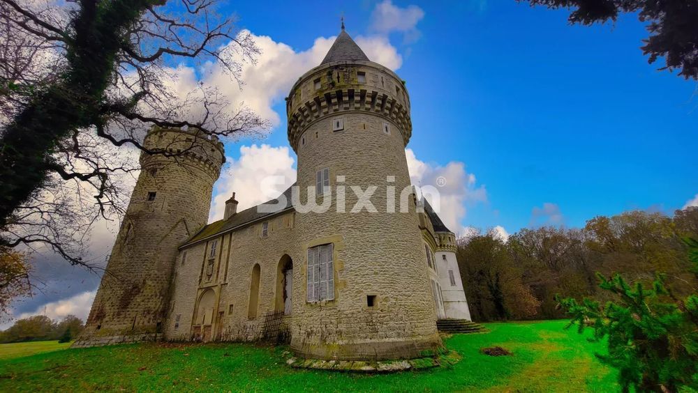 � vendre  Propri�t�/ch�teau Nevers (58000)