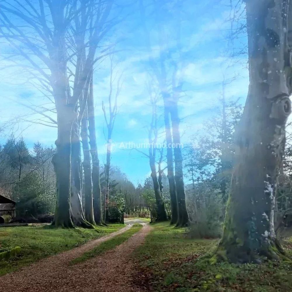 � vendre  Maison Pont-de-Larn (81660)