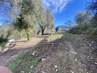  Terrain � vendre 1000 m�