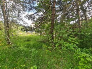  Terrain � vendre 1896 m�