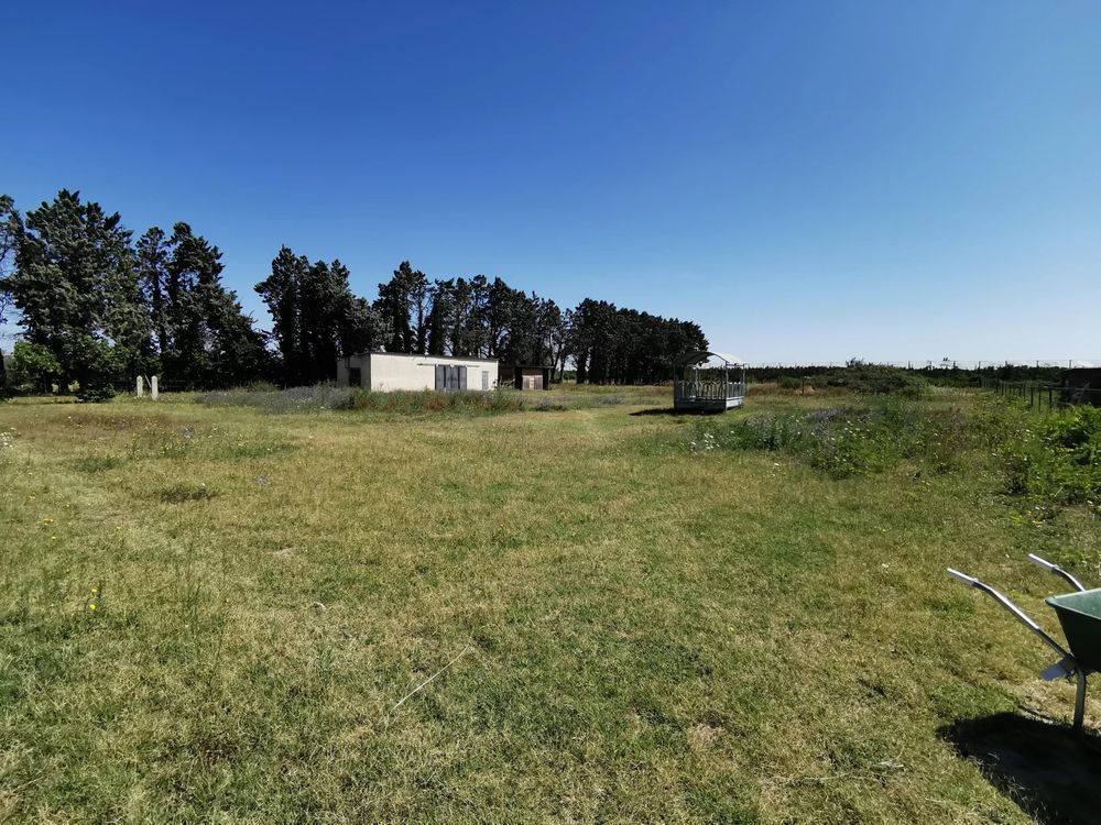 � vendre  Maison Beaucaire (30300)