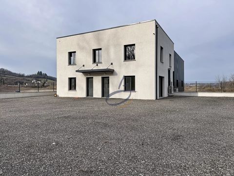 Local commercial 1500 38300 Nivolas-vermelle