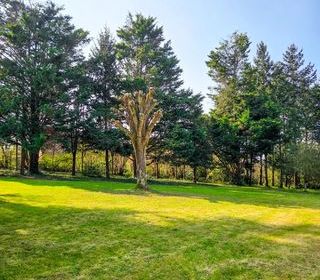  Terrain � vendre 1 pi�ce 2650 m�