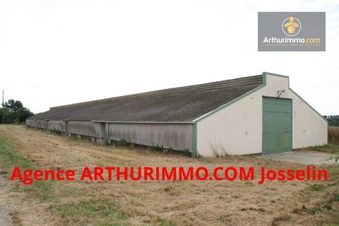 JOSSELIN GRAND ENTREPOT de 1000 M&sup2; avec TERRAIN 54500 56120 Josselin