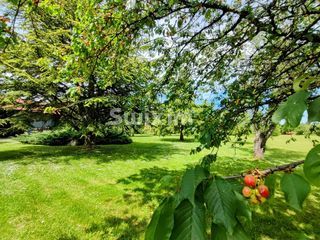  Maison � vendre 9 pi�ces 338 m�