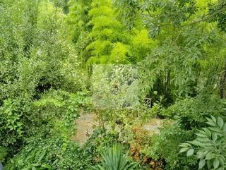  Maison � vendre 4 pi�ces 92 m�