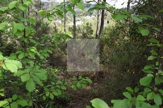  Terrain � vendre 1 pi�ce 2898 m�