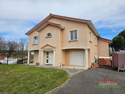 Local commercial 1500 38200 Luzinay