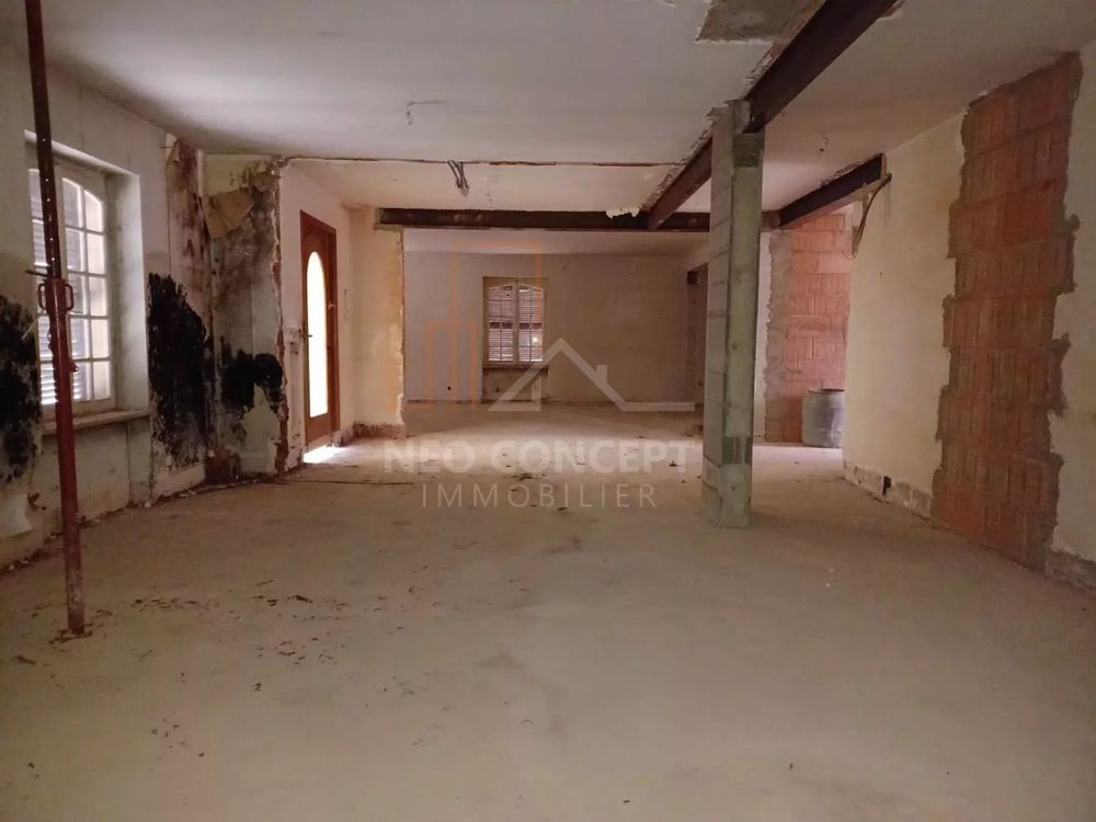 � vendre  Villa Handschuheim (67117)