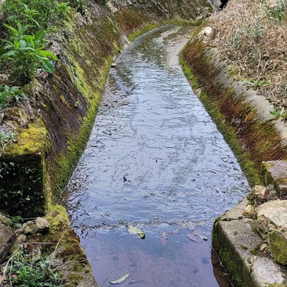 � vendre  Maison La Chartre-sur-le-Loir (72340)