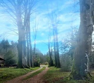  Maison � vendre 15 + pi�ces 479 m�