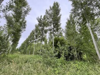  Terrain � vendre 81675 m�