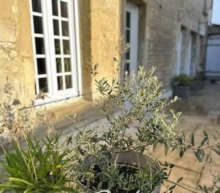  Maison � vendre 6 pi�ces 155 m�