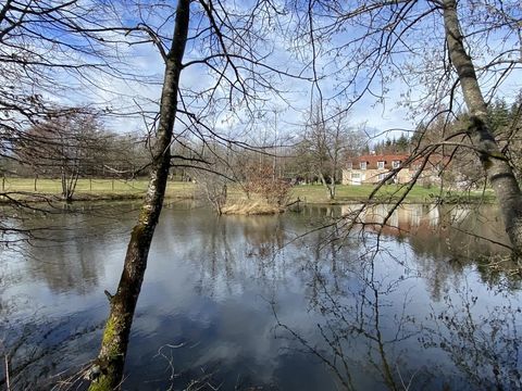   MORVAN: Propri�t� de 5 hectares avec plan d'eau Maison - 9 pi�ce(s) - 311 m�