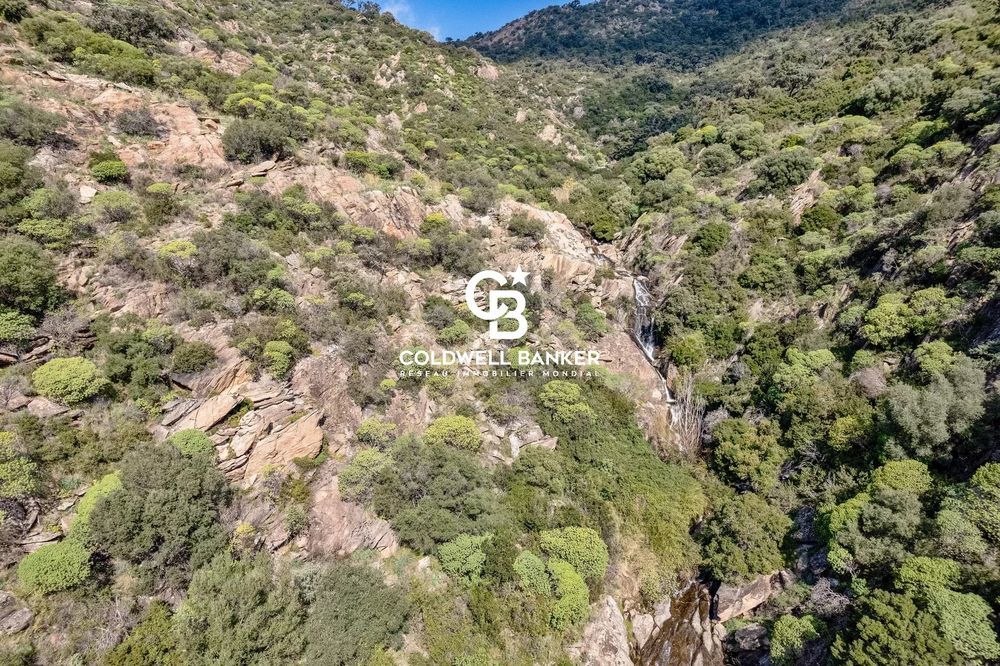 � vendre  Maison Le Lavandou (83980)