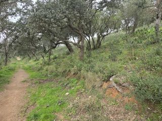  Terrain � vendre 27425 m�