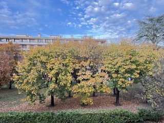  Appartement � vendre 3 pi�ces 85 m�