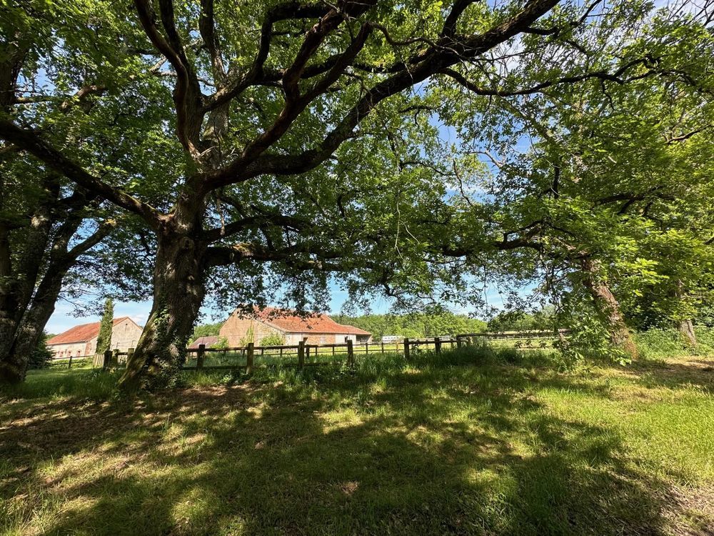 � vendre  Maison Villemurlin (45600)