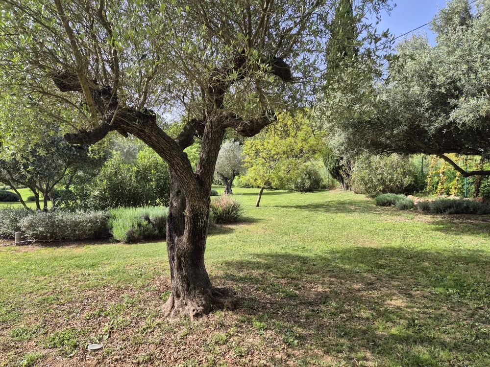 � vendre  Villa Le Cannet-des-Maures (83340)