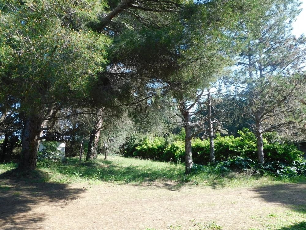 � vendre  Maison Arles (13200)