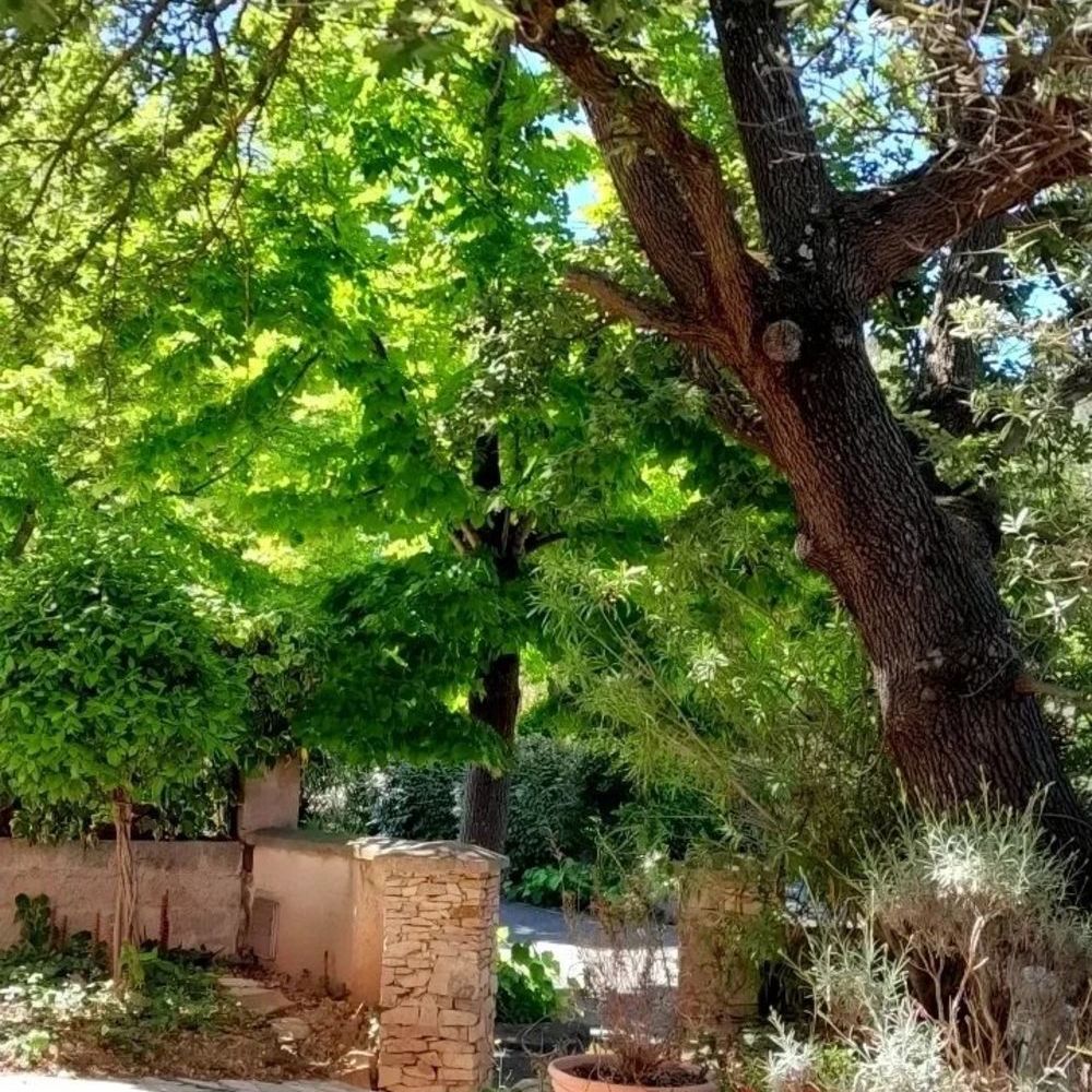 � vendre  Maison Bouc-Bel-Air (13320)