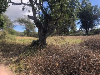  Terrain � vendre 6389 m�