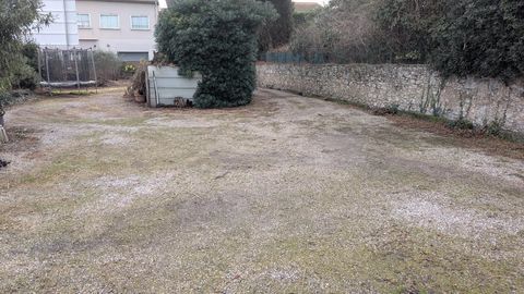 Local commercial 595000 06220 Golfe-juan