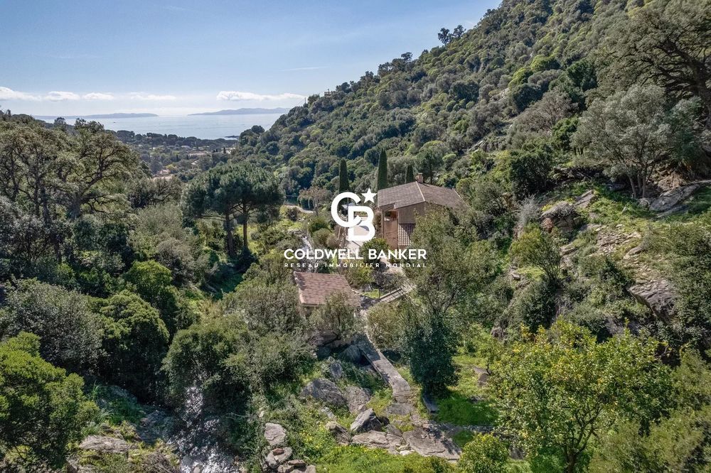 � vendre  Maison Le Lavandou (83980)