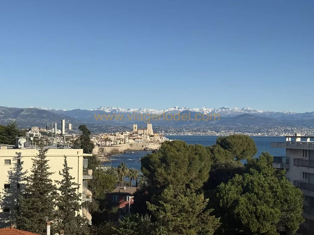 � vendre  Appartement Antibes (06600)