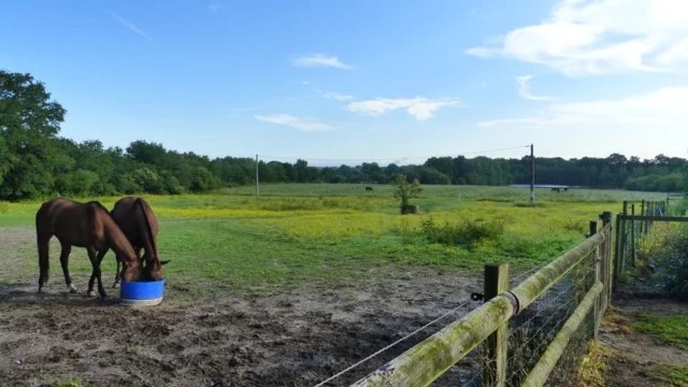 � vendre  Maison Villemurlin (45600)