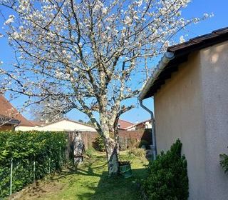  Maison � vendre 5 pi�ces 105 m�