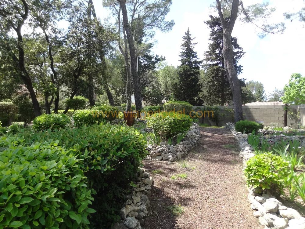 � vendre  Maison Saint-Cl�ment-de-Rivi�re (34980)