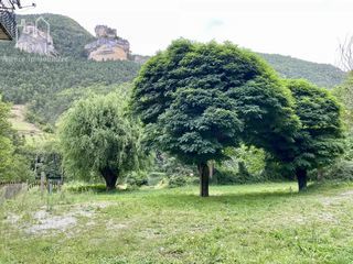  Immeuble � vendre 15 + pi�ces 380 m�