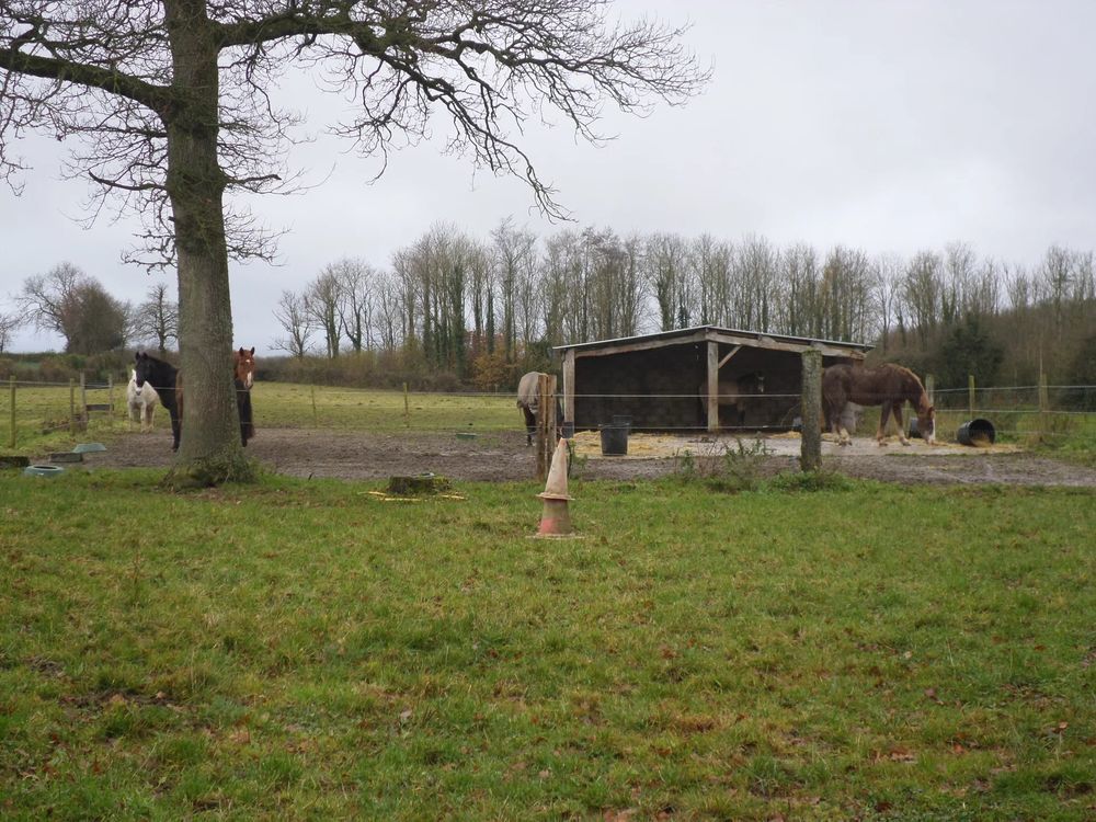 � vendre  Maison Saint-Martin-Choquel (62240)