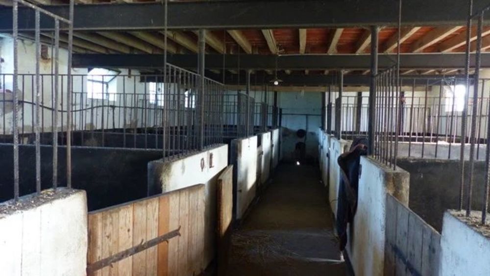 � vendre  Maison Villemurlin (45600)