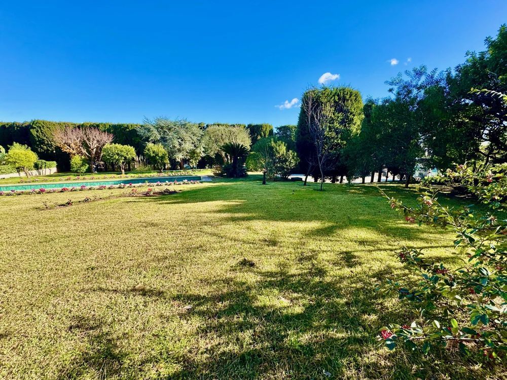 � vendre  Appartement Cannes (06400)