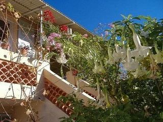  Appartement � louer 2 pi�ces 50 m�