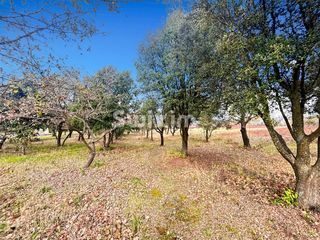  Maison � vendre 5 pi�ces 88 m�