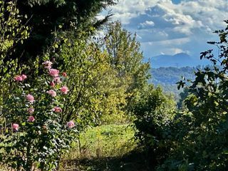  Maison � vendre 9 pi�ces 240 m�