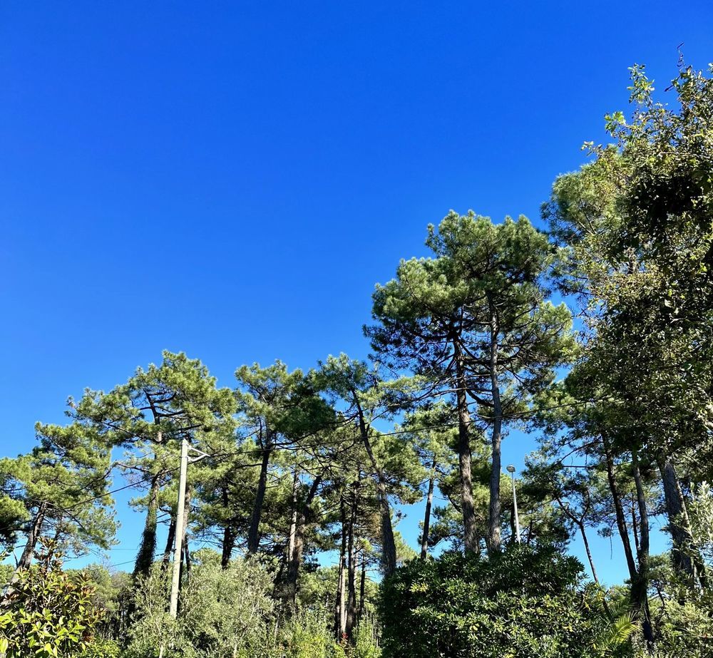 � vendre  Maison Anglet (64600)