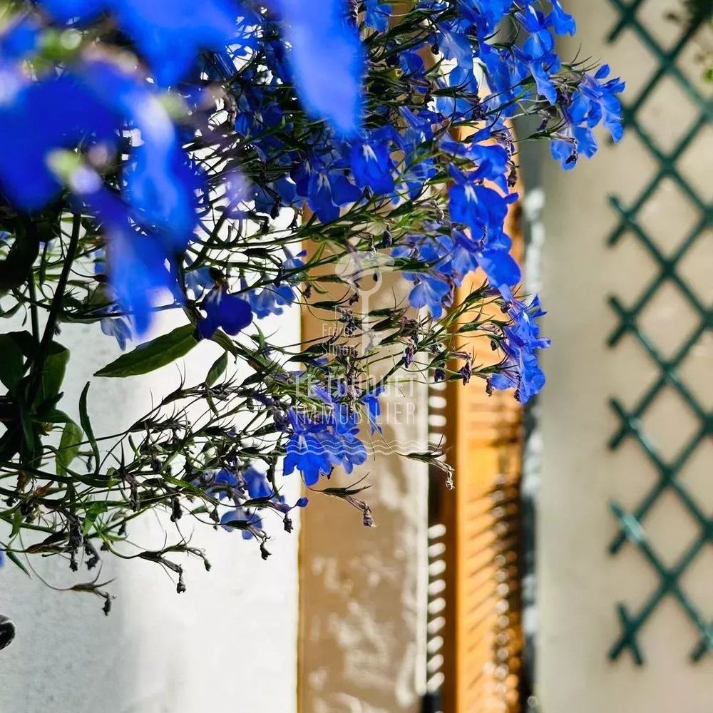 � vendre  Maison Merlimont (62155)