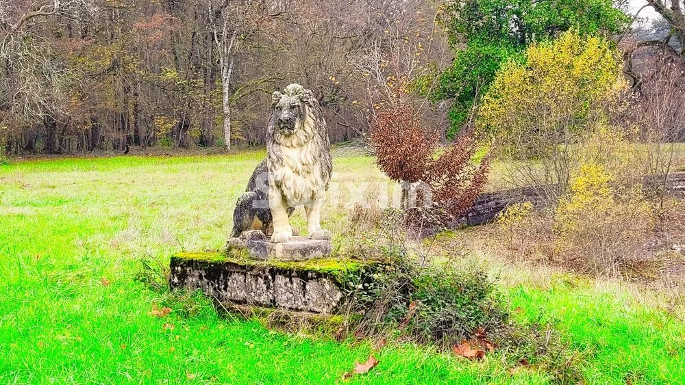 � vendre  Propri�t�/ch�teau Nevers (58000)