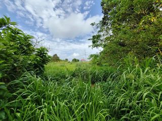  Terrain � vendre 9227 m�