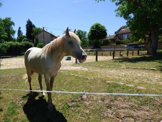  Maison � vendre 8 pi�ces 133 m�