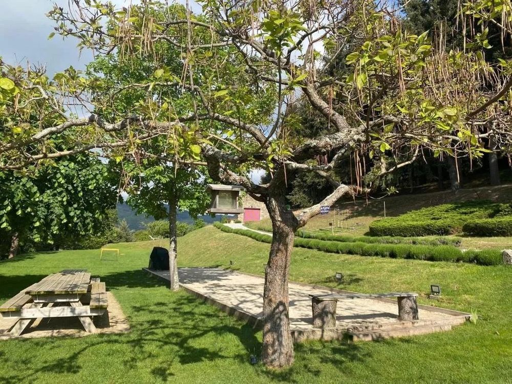 � vendre  Propri�t�/ch�teau Saint-Apollinaire-de-Rias (07240)