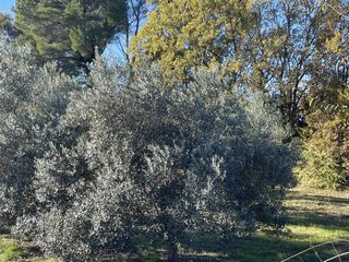  Terrain � vendre 2150 m�