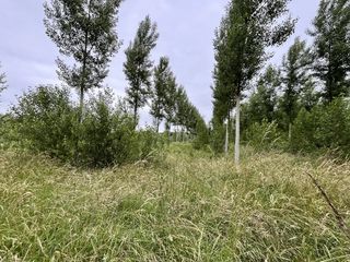  Terrain � vendre 81675 m�