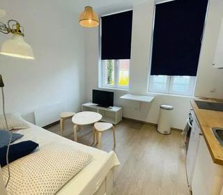  Appartement � louer 1 pi�ce 18 m�